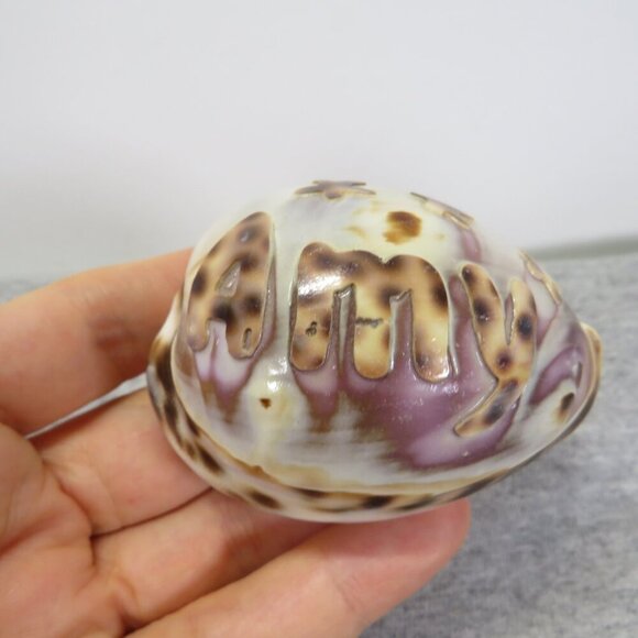 REAL Sea Shell Hand-Carved “Amy” Cowrie Shell Hawaiian - Picture 1 of 10